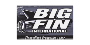Big Fin Logo